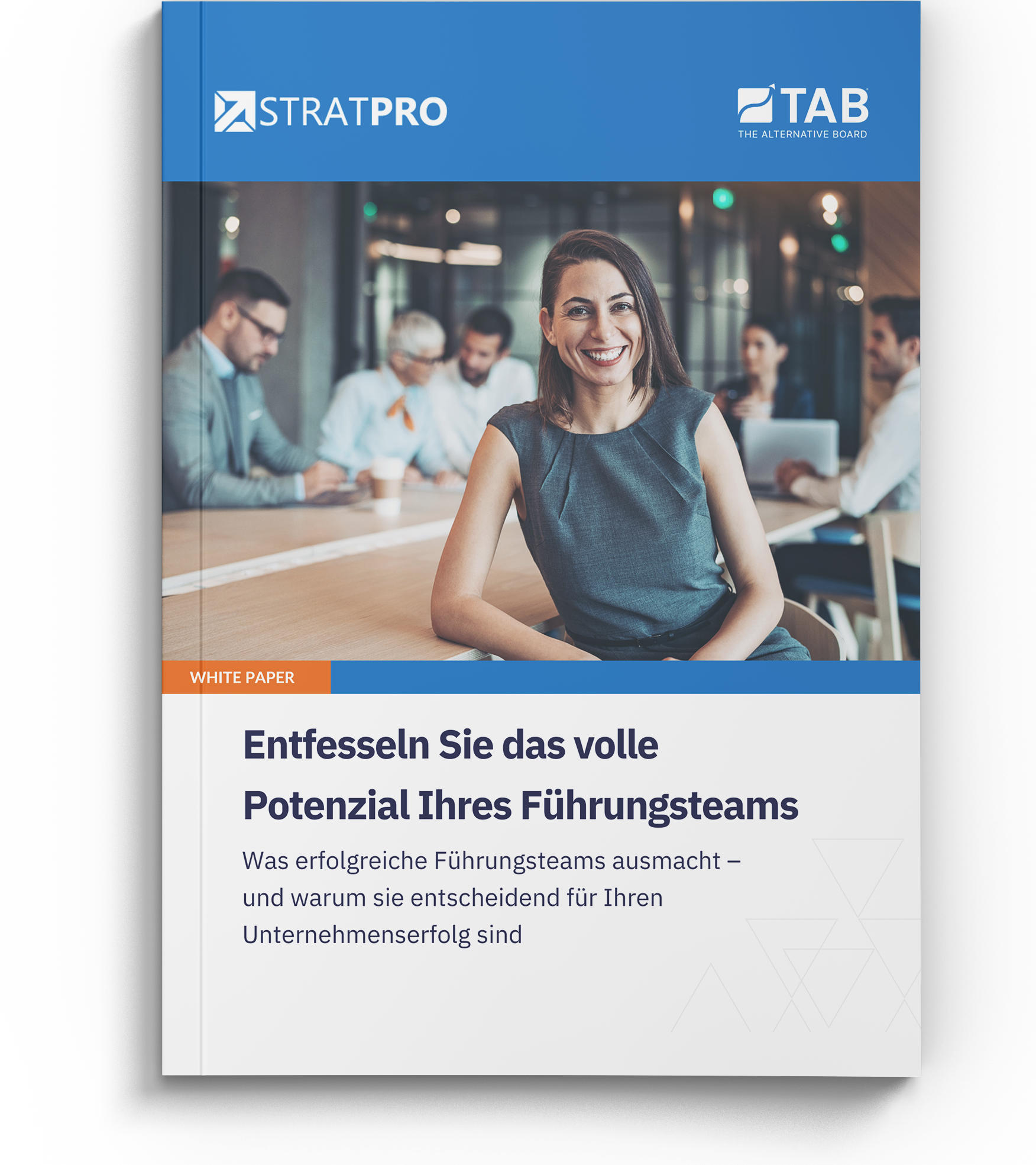 Whitepaper StratPro Whitepaper StratPro