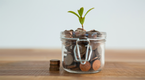plant growing out of coins jar NY67LEM 900x500px